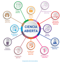 Avances hacia la ciencia abierta en Argentina. Entrevista a Fernanda Beigel
